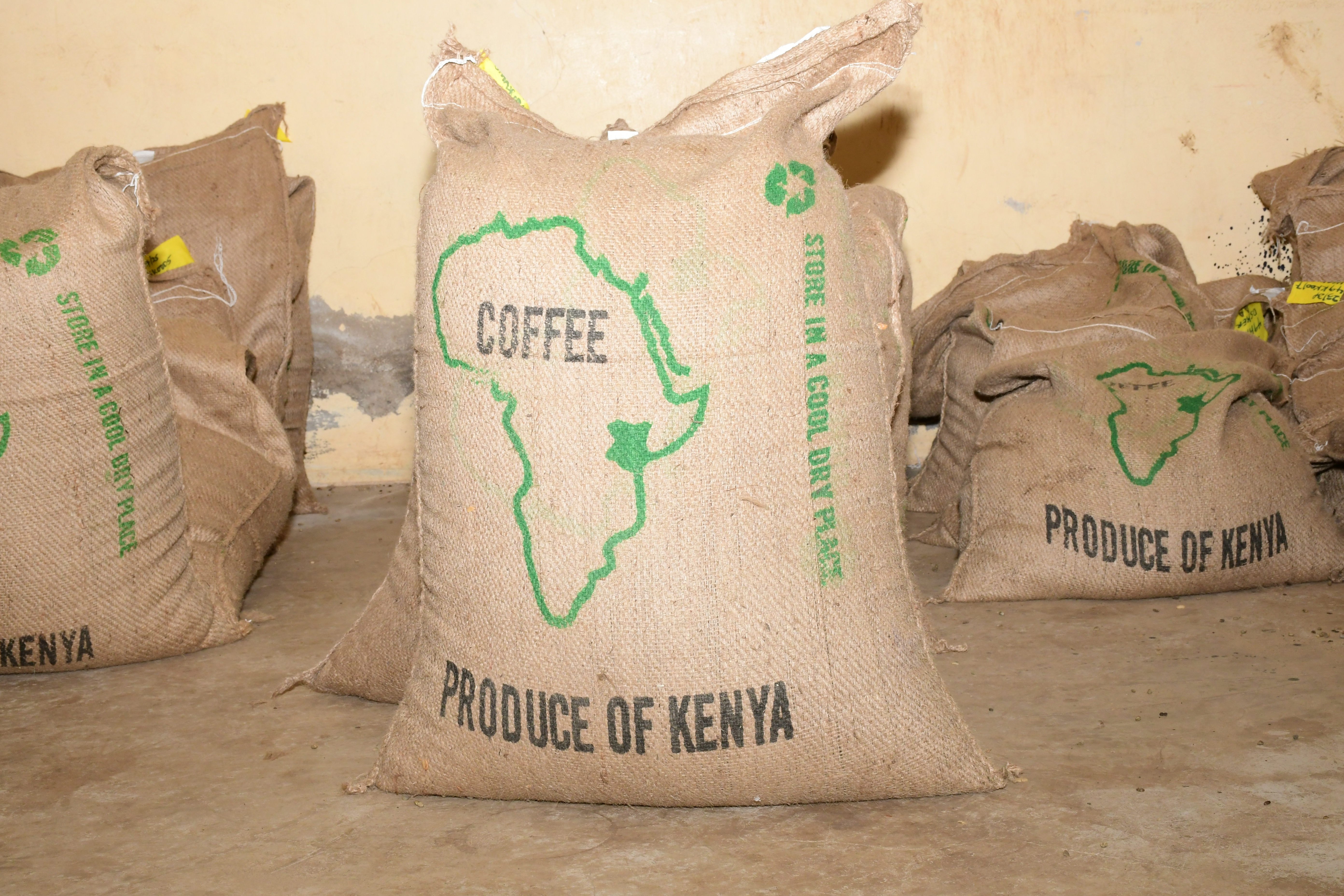 Kenyan Crop Readiness: What Buyers Should Watch This Quarter